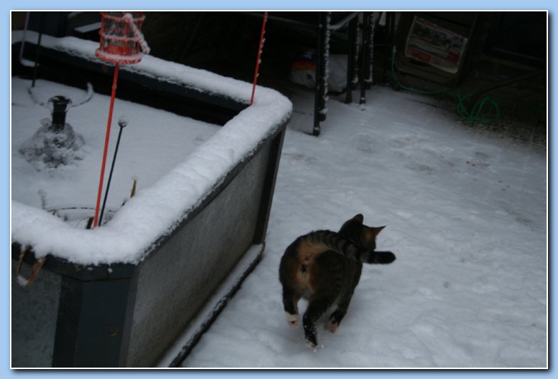 Arnhem Snow 068